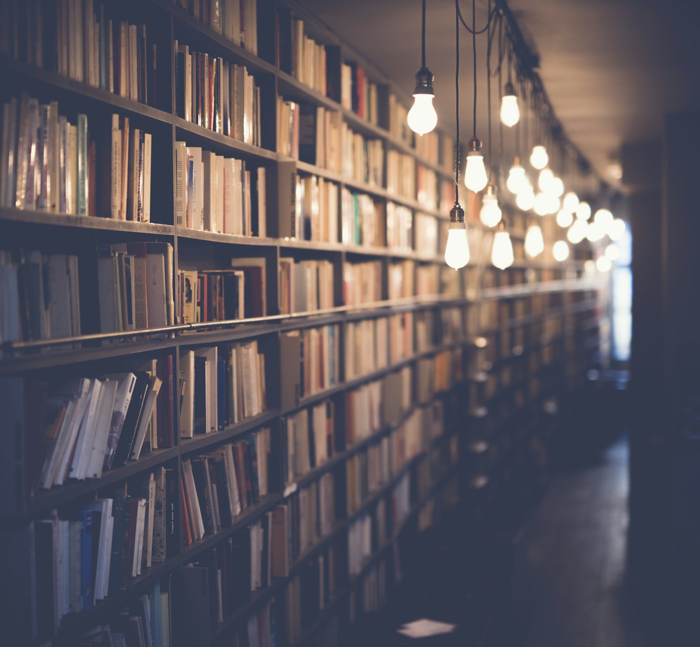 Organizational knowledge